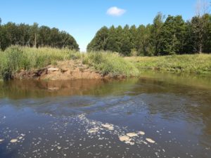 Vinkenberg juin 2020