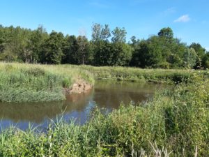 Vinkenberg juin 2020